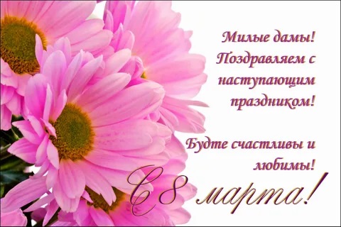 Милые дамы!.