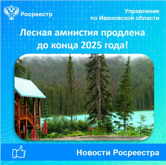 Как долго будет действовать «Лесная амнистия»?. Как долго будет действовать «Лесная амнистия»?.