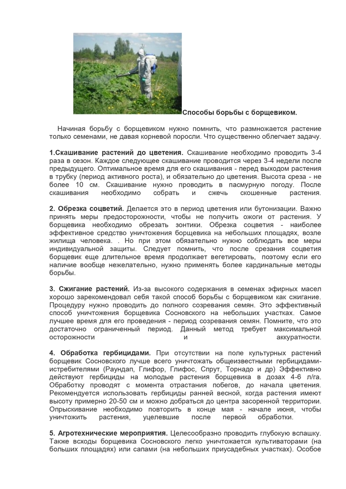 Памятка по борьбе с борщевиком Сосновского