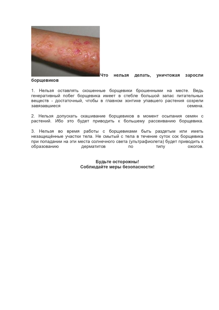 Памятка по борьбе с борщевиком Сосновского